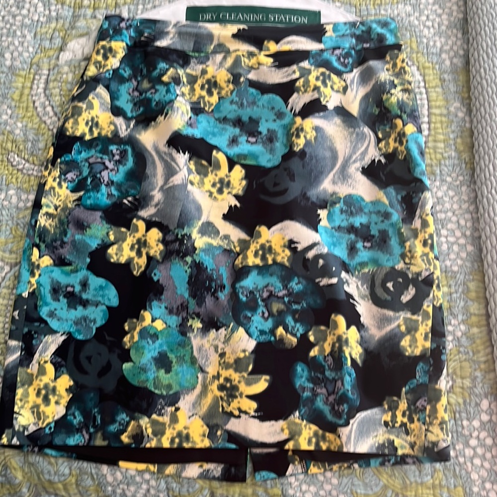 Ann Taylor skirt